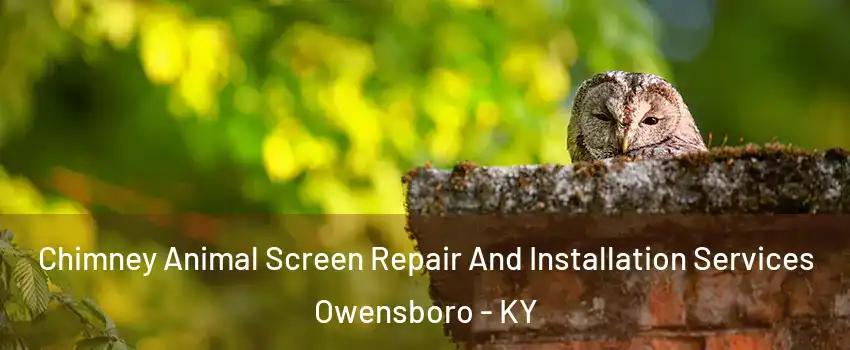  Chimney Animal Screen Repair And Installation Services Owensboro - KY