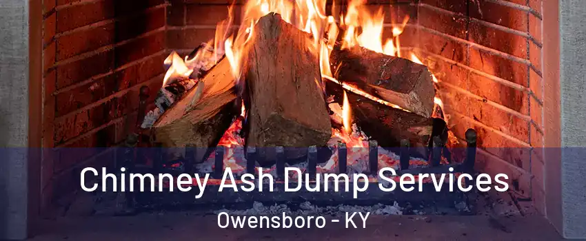  Chimney Ash Dump Services Owensboro - KY