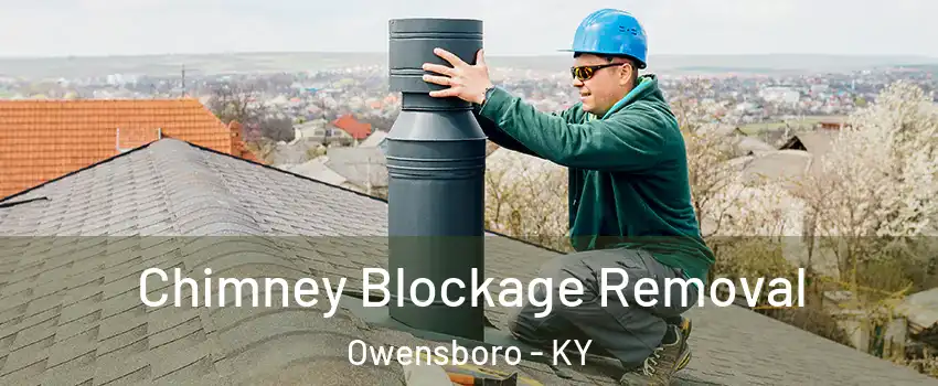  Chimney Blockage Removal Owensboro - KY