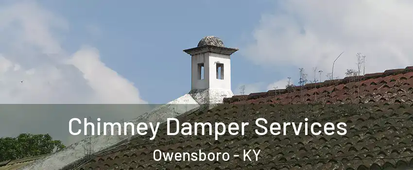  Chimney Damper Services Owensboro - KY