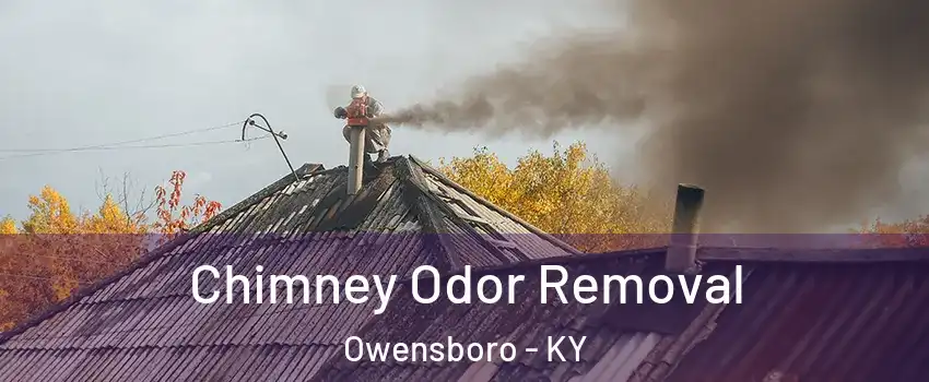  Chimney Odor Removal Owensboro - KY