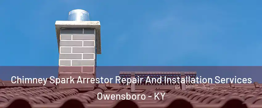  Chimney Spark Arrestor Repair And Installation Services Owensboro - KY