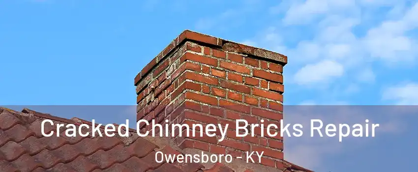  Cracked Chimney Bricks Repair Owensboro - KY