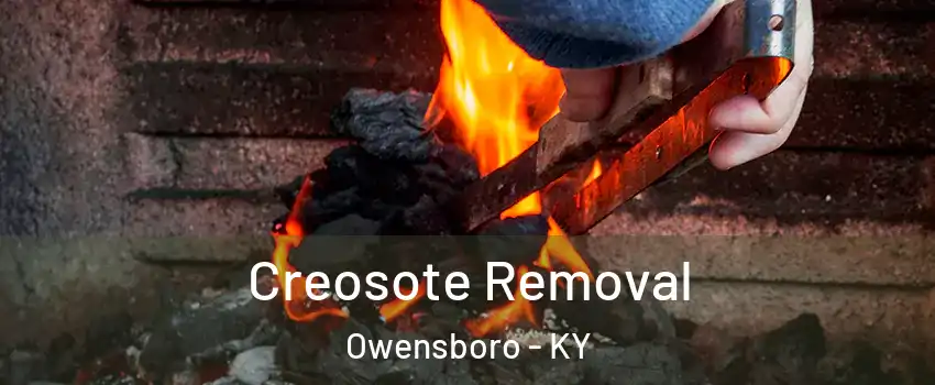  Creosote Removal Owensboro - KY