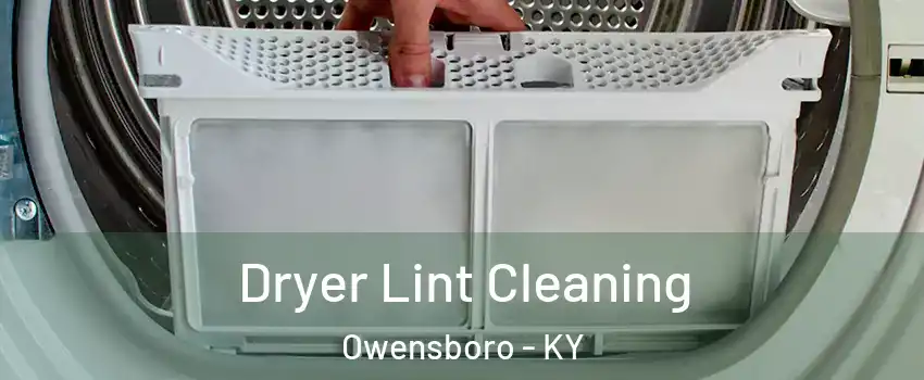  Dryer Lint Cleaning Owensboro - KY