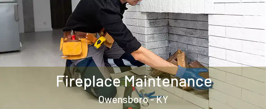  Fireplace Maintenance Owensboro - KY
