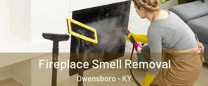  Fireplace Smell Removal Owensboro - KY