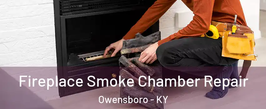  Fireplace Smoke Chamber Repair Owensboro - KY
