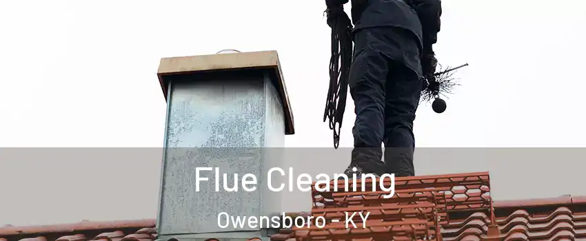  Flue Cleaning Owensboro - KY