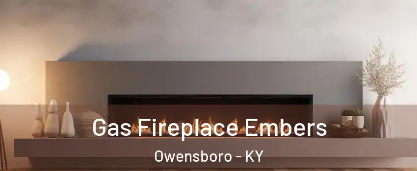  Gas Fireplace Embers Owensboro - KY