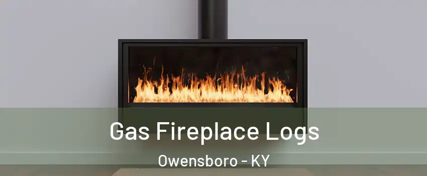  Gas Fireplace Logs Owensboro - KY