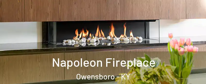  Napoleon Fireplace Owensboro - KY